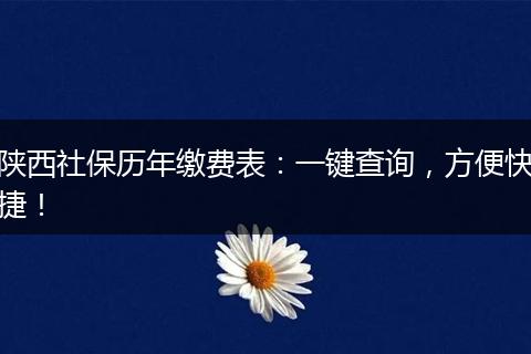 陕西社保历年缴费表：一键查询，方便快捷！