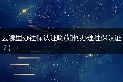 去哪里办社保认证啊(如何办理社保认证？)