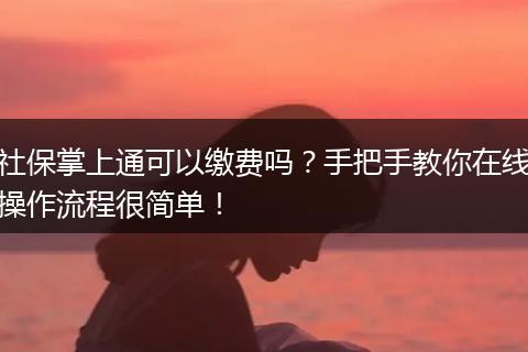 社保掌上通可以缴费吗？手把手教你在线操作流程很简单！