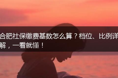 合肥社保缴费基数怎么算？档位、比例详解，一看就懂！