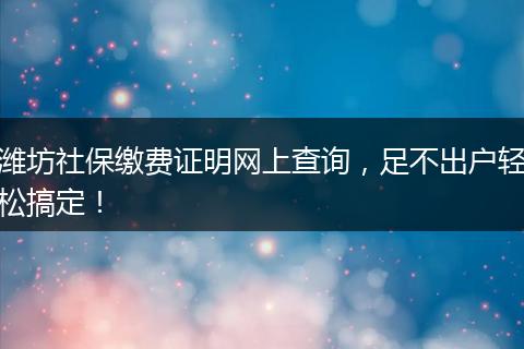潍坊社保缴费证明网上查询，足不出户轻松搞定！
