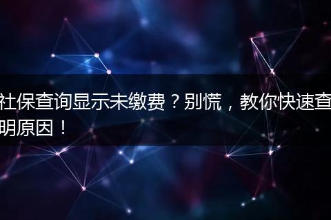 社保查询显示未缴费？别慌，教你快速查明原因！