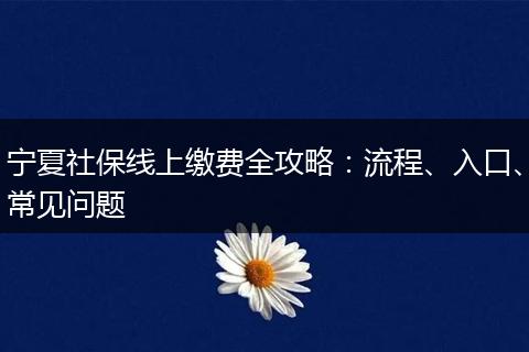 宁夏社保线上缴费全攻略：流程、入口、常见问题