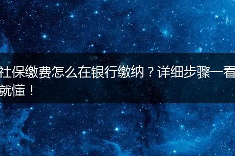 社保缴费怎么在银行缴纳？详细步骤一看就懂！