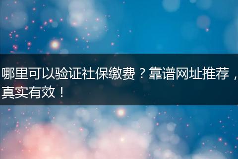 哪里可以验证社保缴费？靠谱网址推荐，真实有效！