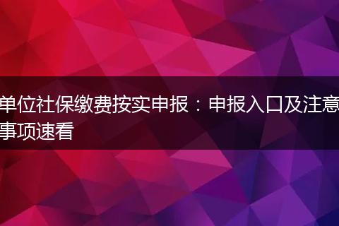 单位社保缴费按实申报：申报入口及注意事项速看