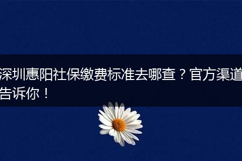 深圳惠阳社保缴费标准去哪查？官方渠道告诉你！