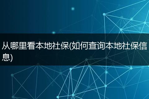 从哪里看本地社保(如何查询本地社保信息)