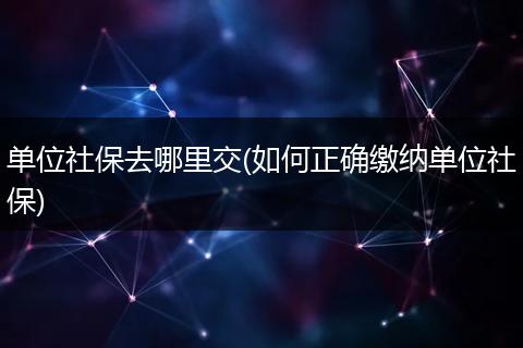 单位社保去哪里交(如何正确缴纳单位社保)
