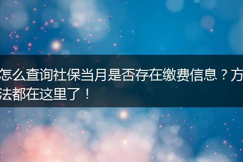 怎么查询社保当月是否存在缴费信息？方法都在这里了！