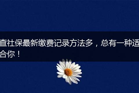 查社保最新缴费记录方法多，总有一种适合你！