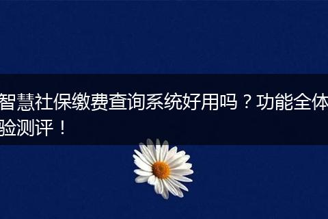 智慧社保缴费查询系统好用吗？功能全体验测评！