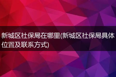 新城区社保局在哪里(新城区社保局具体位置及联系方式)