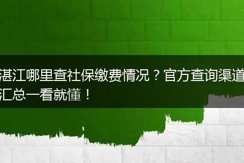湛江哪里查社保缴费情况？官方查询渠道汇总一看就懂！