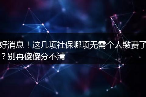 好消息！这几项社保哪项无需个人缴费了？别再傻傻分不清