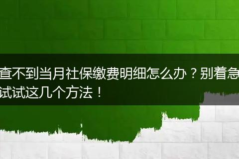 查不到当月社保缴费明细怎么办?别着急试试这几个方法!