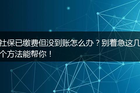 社保已缴费但没到账怎么办？别着急这几个方法能帮你！