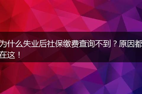 为什么失业后社保缴费查询不到?原因都在这!