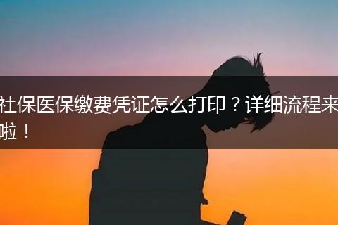 社保医保缴费凭证怎么打印?详细流程来啦!