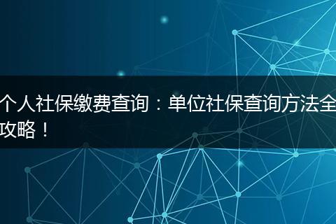 个人社保缴费查询：单位社保查询方法全攻略！