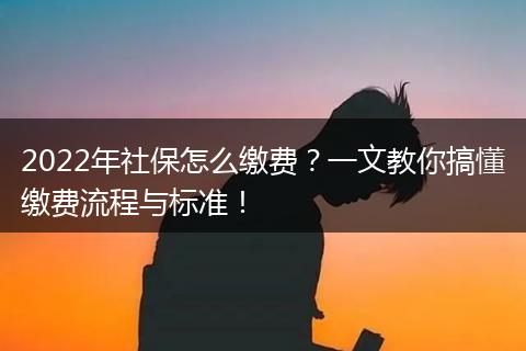 2022年社保怎么缴费？一文教你搞懂缴费流程与标准！