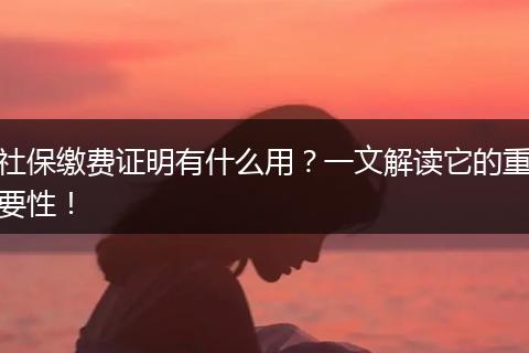 社保缴费证明有什么用？一文解读它的重要性！