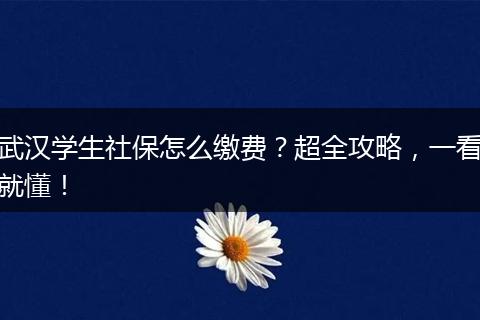 武汉学生社保怎么缴费？超全攻略，一看就懂！