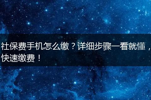 社保费手机怎么缴？详细步骤一看就懂，快速缴费！