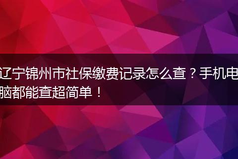 辽宁锦州市社保缴费记录怎么查？手机电脑都能查超简单！