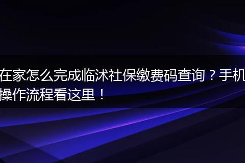 在家怎么完成临沭社保缴费码查询？手机操作流程看这里！