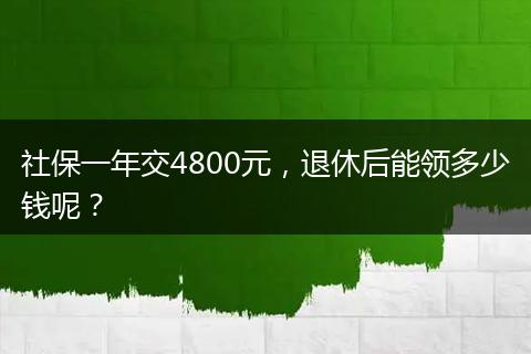 社保一年交4800元，退休后能领多少钱呢？