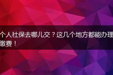 个人社保去哪儿交？这几个地方都能办理缴费！