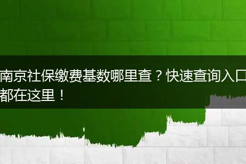 南京社保缴费基数哪里查？快速查询入口都在这里！