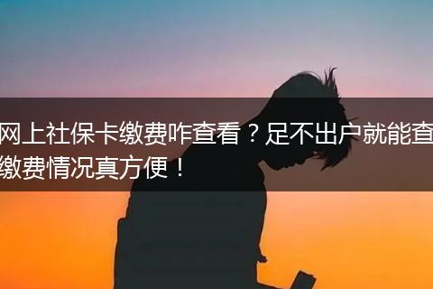 网上社保卡缴费咋查看？足不出户就能查缴费情况真方便！