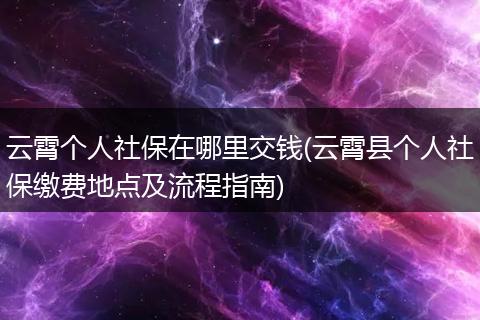 云霄个人社保在哪里交钱(云霄县个人社保缴费地点及流程指南)