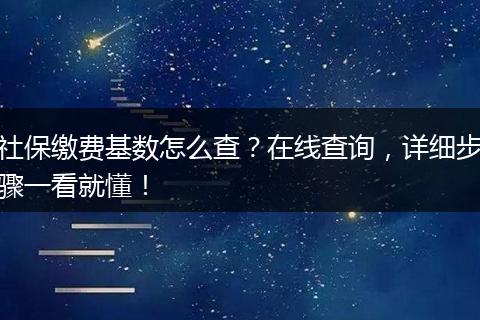社保缴费基数怎么查？在线查询，详细步骤一看就懂！