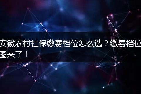 安徽农村社保缴费档位怎么选？缴费档位图来了！