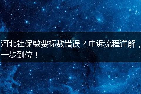 河北社保缴费标数错误？申诉流程详解，一步到位！