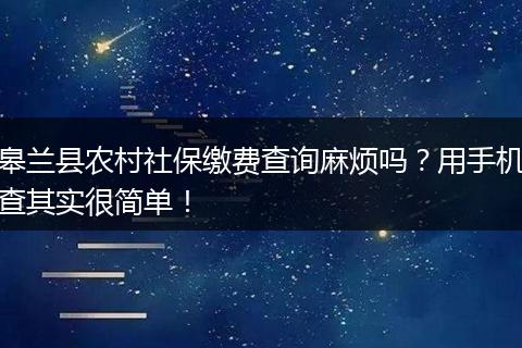 皋兰县农村社保缴费查询麻烦吗？用手机查其实很简单！
