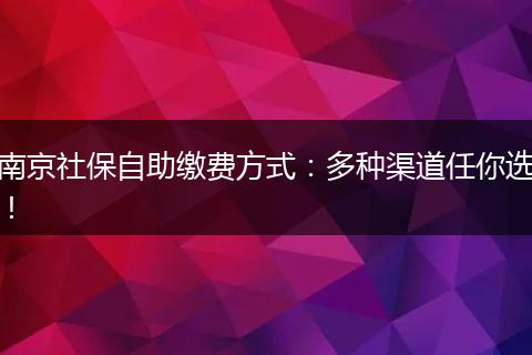 南京社保自助缴费方式：多种渠道任你选！