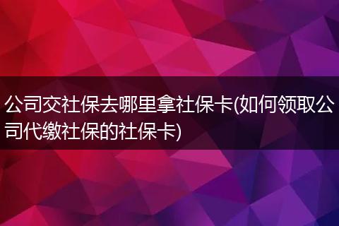 公司交社保去哪里拿社保卡(如何领取公司代缴社保的社保卡)