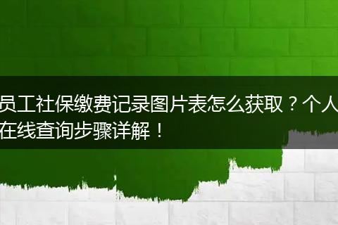 员工社保缴费记录图片表怎么获取？个人在线查询步骤详解！