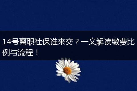 14号离职社保谁来交？一文解读缴费比例与流程！