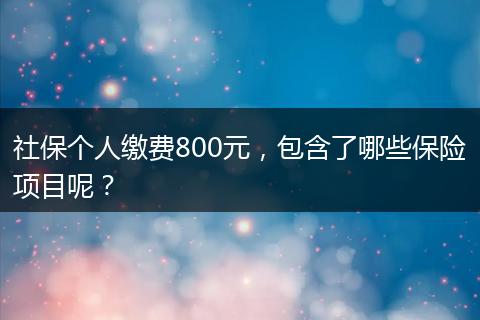 社保个人缴费800元，包含了哪些保险项目呢？