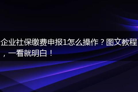 企业社保缴费申报1怎么操作？图文教程，一看就明白！