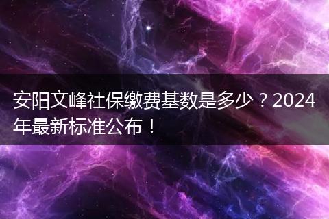 安阳文峰社保缴费基数是多少？2024年最新标准公布！