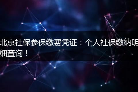 北京社保参保缴费凭证：个人社保缴纳明细查询！