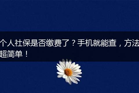 个人社保是否缴费了？手机就能查，方法超简单！