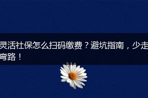 灵活社保怎么扫码缴费？避坑指南，少走弯路！