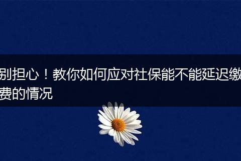 别担心！教你如何应对社保能不能延迟缴费的情况